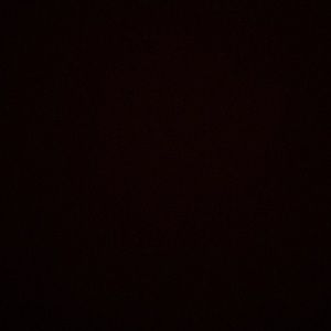 Meet your Posher, Rose